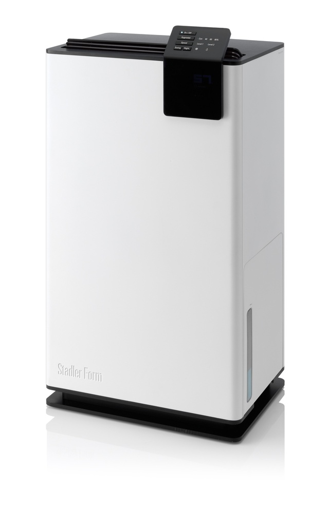 ALBERT Little- prestation de réparation